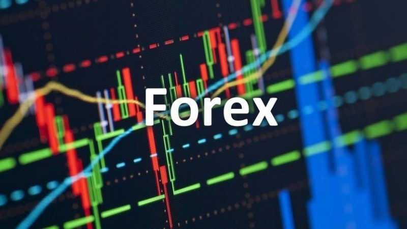 Những thủ đoạn "lùa gà" đầu tư Forex Những thủ đoạn "lùa gà" đầu tư Forex