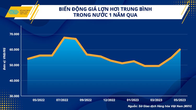 Giá nguyên liệu thức ăn chăn nuôi sẽ duy trì xu hướng giảm nửa cuối năm 2023 Giá nguyên liệu thức ăn chăn nuôi sẽ duy trì xu hướng giảm nửa cuối năm 2023