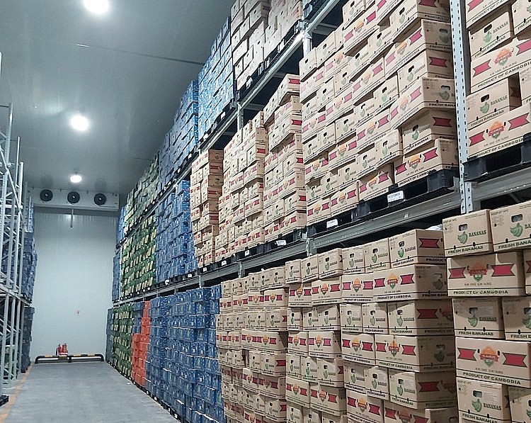 Dịch vụ kho hàng quy mô lớn tại miền Trung Dịch vụ kho hàng quy mô lớn tại miền Trung