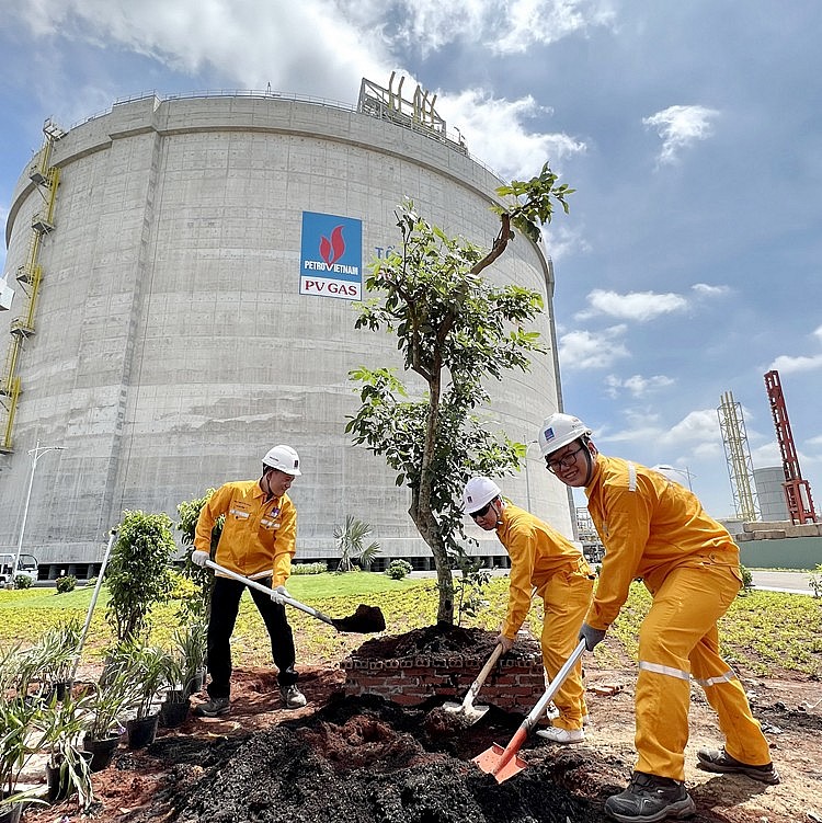 Trồng cây xanh làm đẹp cảnh quan môi trường Dự án Kho cảng LNG Thị Vải Trồng cây xanh làm đẹp cảnh quan môi trường Dự án Kho cảng LNG Thị Vải