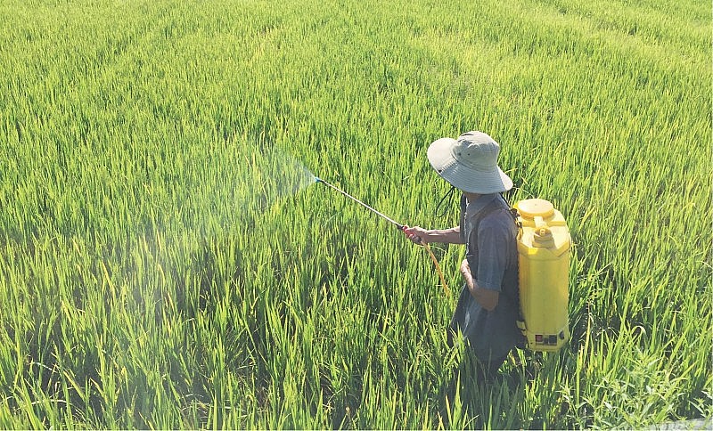 Nhập khẩu thuốc trừ sâu giảm 14,5% kim ngạch 4 tháng đầu năm 2023