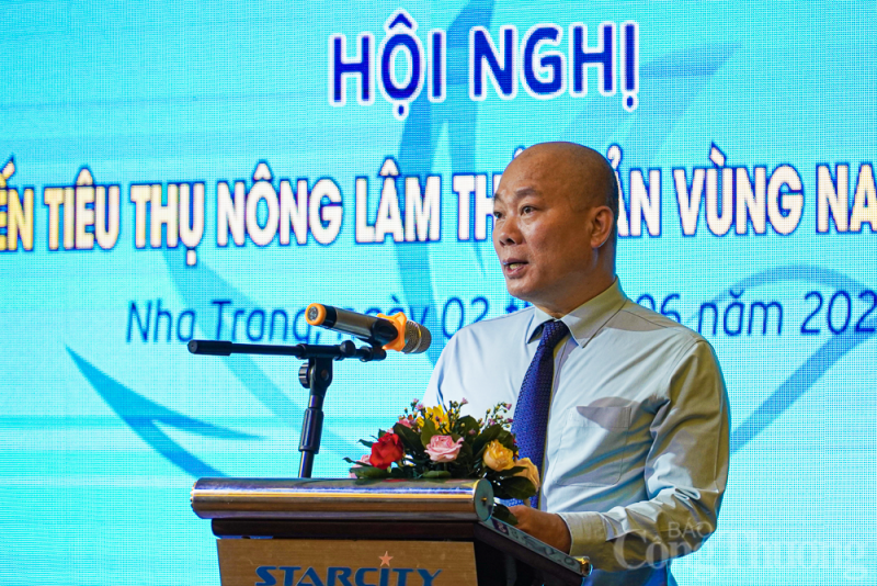 Xúc tiến tiêu thụ nông lâm thủy sản vùng Nam Trung Bộ Xúc tiến tiêu thụ nông lâm thủy sản vùng Nam Trung Bộ