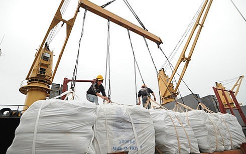 Nghịch lý xuất khẩu gạo tăng giá kỷ lục, sao doanh nghiệp thua lỗ? Nghịch lý xuất khẩu gạo tăng giá kỷ lục, sao doanh nghiệp thua lỗ?