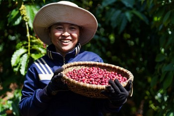 Doanh nghiệp và nhà đầu tư hướng đến giải pháp phát triển bền vững, có trách nhiệm