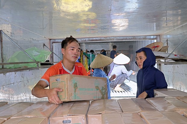 Hòa Bình xuất khẩu lô hàng mía tươi thứ hai sang thị trường Hoa Kỳ hình ảnh 1 Hoa Binh xuat khau lo hang mia tuoi thu hai sang thi truong Hoa Ky hinh anh 1