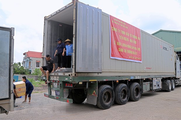Hòa Bình xuất khẩu lô hàng mía tươi thứ hai sang thị trường Hoa Kỳ hình ảnh 2 Hoa Binh xuat khau lo hang mia tuoi thu hai sang thi truong Hoa Ky hinh anh 2