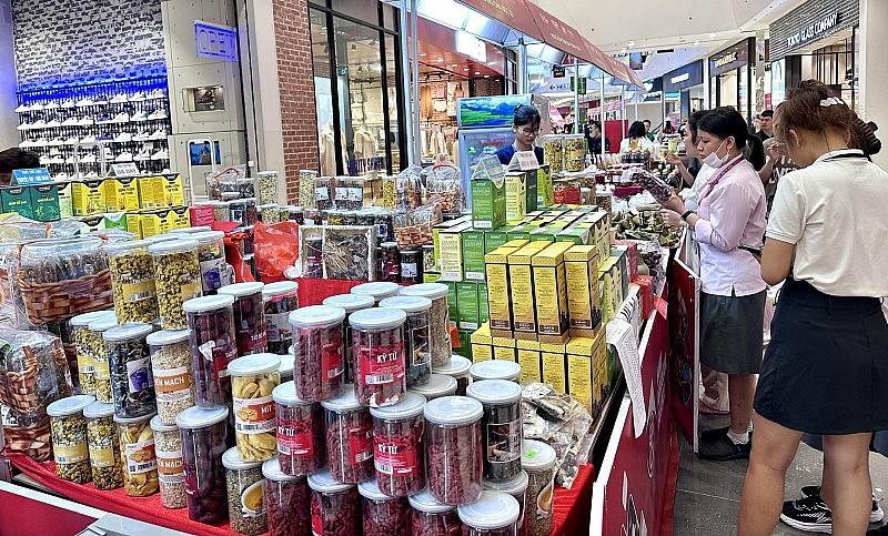 Khai mạc Hội chợ xúc tiến thương mại nông nghiệp, sản phẩm OCOP Hà Nội 2023 Khai mạc Hội chợ xúc tiến thương mại nông nghiệp, sản phẩm OCOP Hà Nội 2023