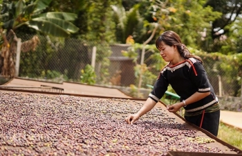 Bài 2: Liệu chỉ toàn thách thức?