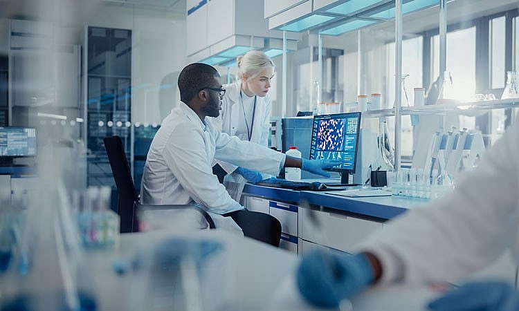 Châu Âu cởi mở hơn với cây trồng chỉnh sửa gen? Châu Âu cởi mở hơn với cây trồng chỉnh sửa gen?