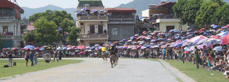 Hấp dẫn chung kết giải đua ngựa thồ trên miền cao nguyên trắng Bắc Hà Hấp dẫn chung kết giải đua ngựa thồ trên miền cao nguyên trắng Bắc Hà