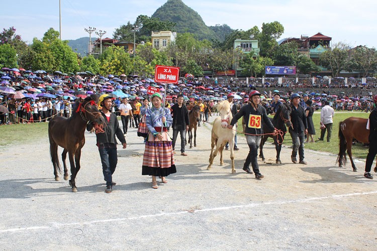 Hấp dẫn chung kết giải đua ngựa thồ trên miền cao nguyên trắng Bắc Hà Hấp dẫn chung kết giải đua ngựa thồ trên miền cao nguyên trắng Bắc Hà