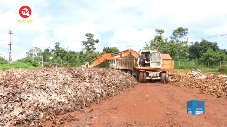 Chương trình truyền hình COP 26 Chương trình truyền hình COP 26