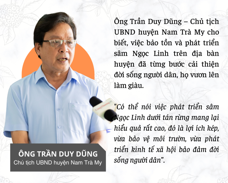 Longform | Quảng Nam: Tiếp thêm động lực đưa Sâm Ngọc Linh vươn ra thế giới Longform | Quảng Nam: Tiếp thêm động lực đưa Sâm Ngọc Linh vươn ra thế giới