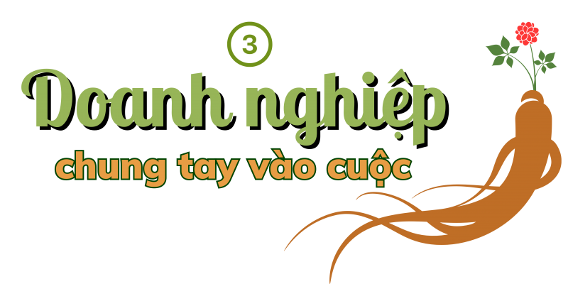 Longform | Quảng Nam: Tiếp thêm động lực đưa Sâm Ngọc Linh vươn ra thế giới Longform | Quảng Nam: Tiếp thêm động lực đưa Sâm Ngọc Linh vươn ra thế giới