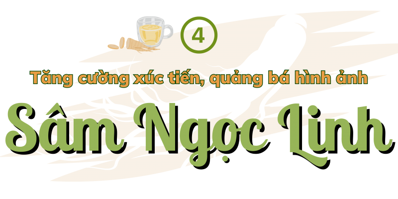 Longform | Quảng Nam: Tiếp thêm động lực đưa Sâm Ngọc Linh vươn ra thế giới Longform | Quảng Nam: Tiếp thêm động lực đưa Sâm Ngọc Linh vươn ra thế giới