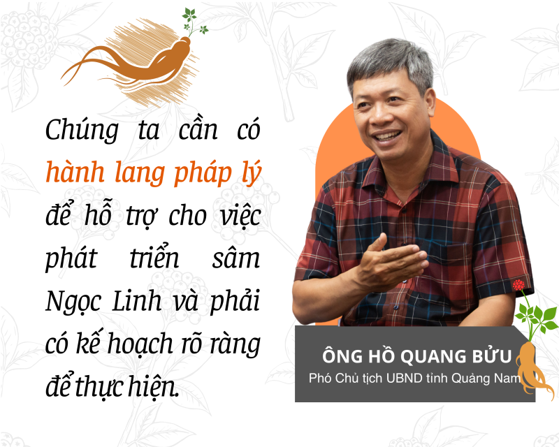 Longform | Quảng Nam: Tiếp thêm động lực đưa Sâm Ngọc Linh vươn ra thế giới Longform | Quảng Nam: Tiếp thêm động lực đưa Sâm Ngọc Linh vươn ra thế giới