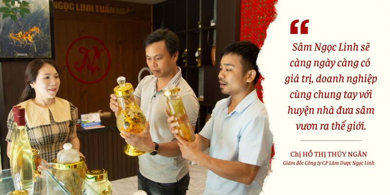 Longform | Quảng Nam: Tiếp thêm động lực đưa Sâm Ngọc Linh vươn ra thế giới Longform | Quảng Nam: Tiếp thêm động lực đưa Sâm Ngọc Linh vươn ra thế giới