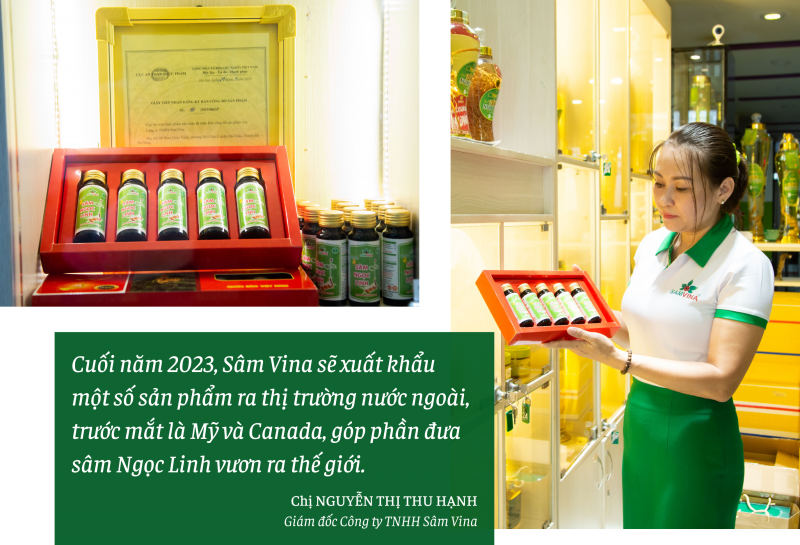 Longform | Quảng Nam: Tiếp thêm động lực đưa Sâm Ngọc Linh vươn ra thế giới Longform | Quảng Nam: Tiếp thêm động lực đưa Sâm Ngọc Linh vươn ra thế giới