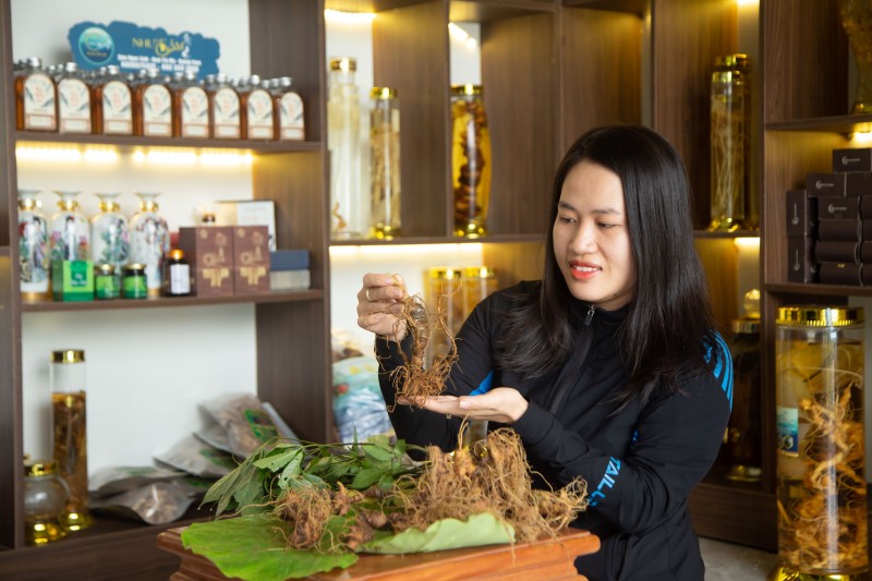 Longform | Quảng Nam: Tiếp thêm động lực đưa Sâm Ngọc Linh vươn ra thế giới Longform | Quảng Nam: Tiếp thêm động lực đưa Sâm Ngọc Linh vươn ra thế giới