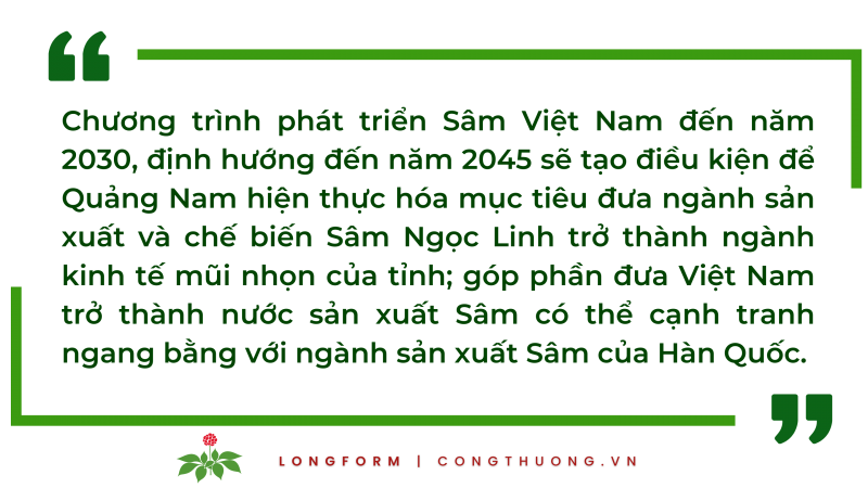 Longform | Quảng Nam: Tiếp thêm động lực đưa Sâm Ngọc Linh vươn ra thế giới Longform | Quảng Nam: Tiếp thêm động lực đưa Sâm Ngọc Linh vươn ra thế giới
