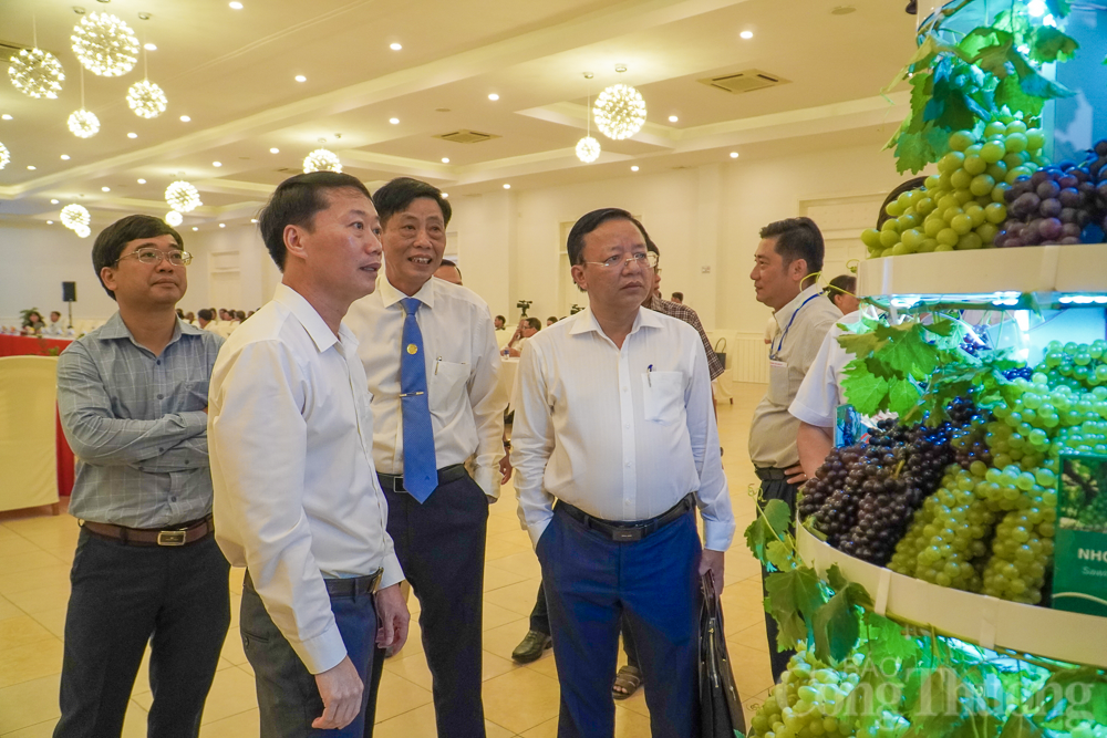 Phát triển giá trị cây nho và sản phẩm từ nho tỉnh Ninh Thuận Phát triển giá trị cây nho và sản phẩm từ nho tỉnh Ninh Thuận