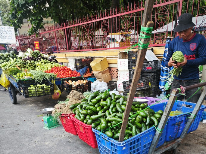 Không có đầu ra, bơ 034 rẻ hiếm thấy - Ảnh 2. Không có đầu ra, bơ 034 rẻ hiếm thấy - Ảnh 2.