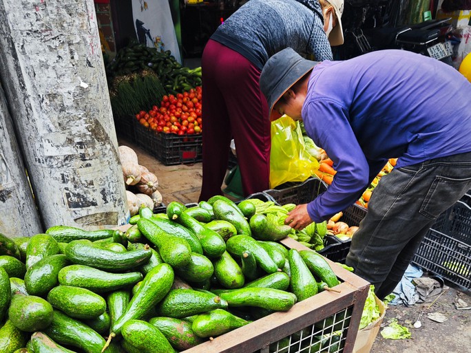 Không có đầu ra, bơ 034 rẻ hiếm thấy - Ảnh 1. Không có đầu ra, bơ 034 rẻ hiếm thấy - Ảnh 1.