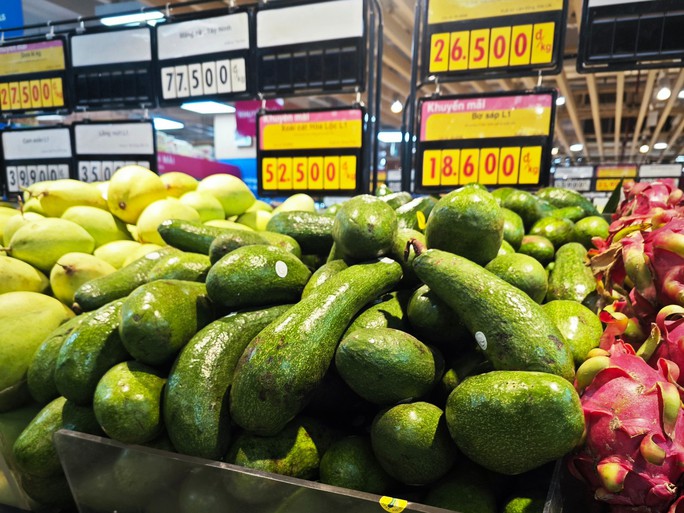 Không có đầu ra, bơ 034 rẻ hiếm thấy - Ảnh 5. Không có đầu ra, bơ 034 rẻ hiếm thấy - Ảnh 5.