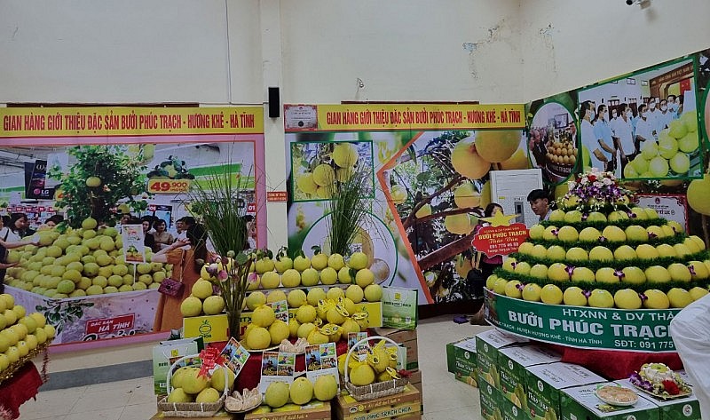 Kết nối đưa bưởi Phúc Trạch lên sàn thương mại điện tử Kết nối đưa bưởi Phúc Trạch lên sàn thương mại điện tử