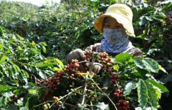 Lễ hội cà phê Sơn La lần thứ nhất diễn ra vào tháng 10/2023