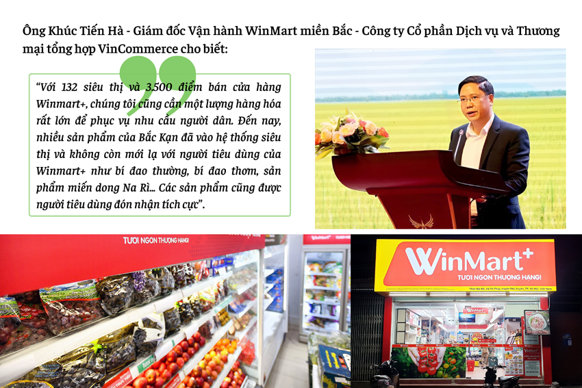 Kết nối để nông sản Bắc Kạn lên kệ siêu thị Kết nối để nông sản Bắc Kạn lên kệ siêu thị