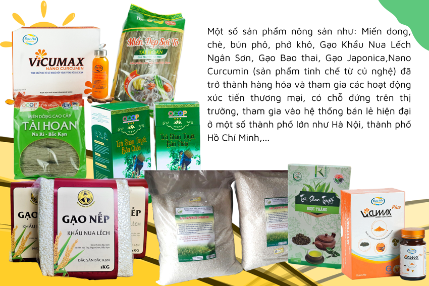 Kết nối để nông sản Bắc Kạn lên kệ siêu thị Kết nối để nông sản Bắc Kạn lên kệ siêu thị