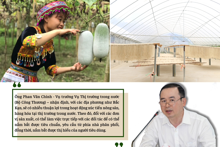 Kết nối để nông sản Bắc Kạn lên kệ siêu thị Kết nối để nông sản Bắc Kạn lên kệ siêu thị