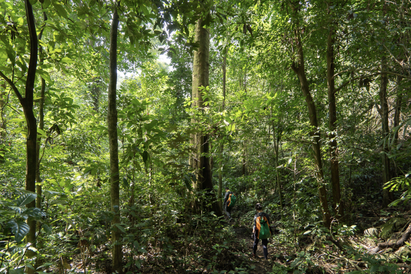 Oxalis Adventure với những điểm khám phá đẳng cấp thế giới Oxalis Adventure với những điểm khám phá đẳng cấp thế giới