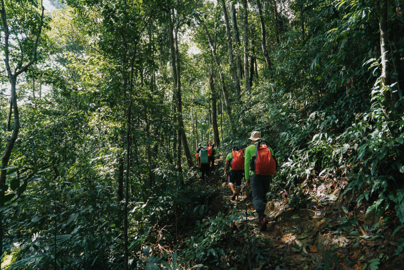 Oxalis Adventure với những điểm khám phá đẳng cấp thế giới Oxalis Adventure với những điểm khám phá đẳng cấp thế giới