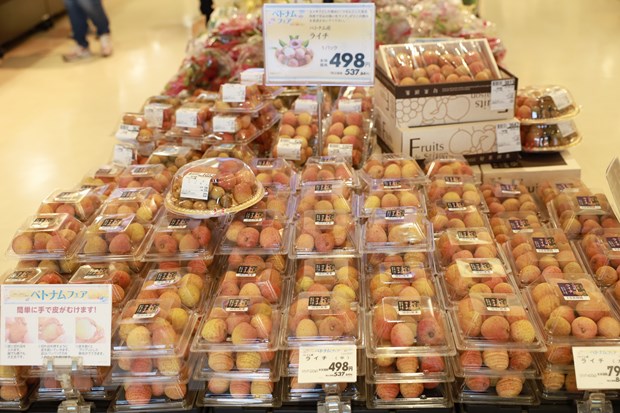 Tuần hàng Việt Nam: Kết nối doanh nghiệp với người tiêu dùng Nhật Bản hình ảnh 2 Tuan hang Viet Nam: Ket noi doanh nghiep voi nguoi tieu dung Nhat Ban hinh anh 2