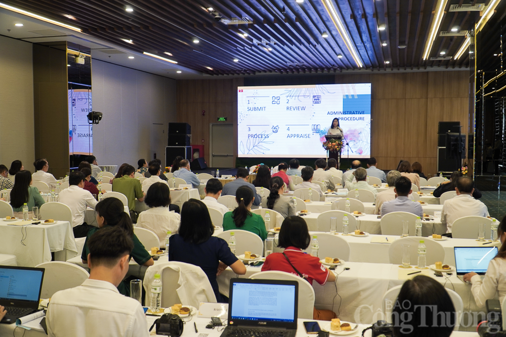 Khánh Hòa vận động viện trợ loạt dự án y tế, giáo dục Khánh Hòa vận động viện trợ loạt dự án y tế, giáo dục