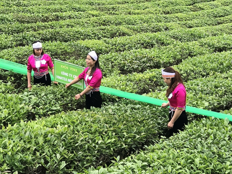 Xuất khẩu chè thu về 64,5 triệu USD trong 5 tháng 2339-img-6760-1
