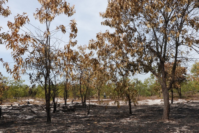 Đốt rừng phòng hộ để diễn tập chữa cháy cho… sát thực tiễn - Ảnh 23.