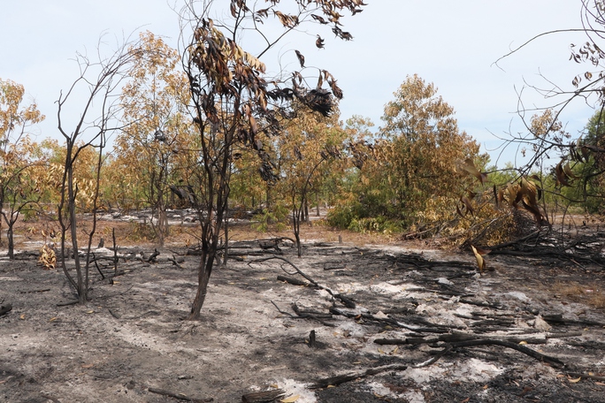 Đốt rừng phòng hộ để diễn tập chữa cháy cho… sát thực tiễn - Ảnh 25.