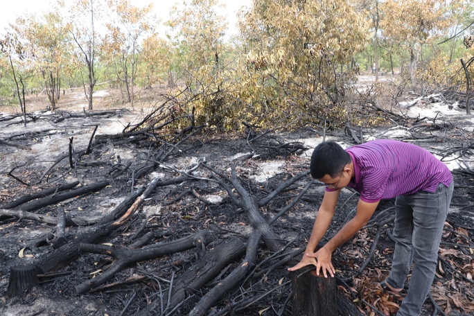 Đốt rừng phòng hộ để diễn tập chữa cháy cho… sát thực tiễn - Ảnh 20.