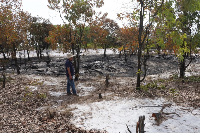 Đốt rừng phòng hộ để diễn tập chữa cháy cho… sát thực tiễn - Ảnh 12.