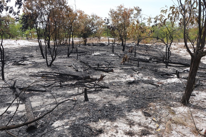 Đốt rừng phòng hộ để diễn tập chữa cháy cho… sát thực tiễn - Ảnh 14.