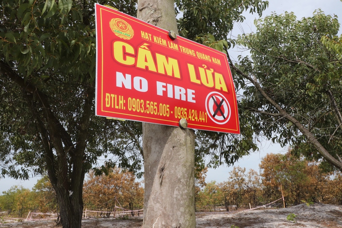 Đốt rừng phòng hộ để diễn tập chữa cháy cho… sát thực tiễn - Ảnh 26.