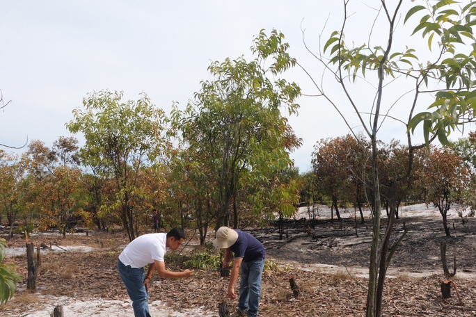 Đốt rừng phòng hộ để diễn tập chữa cháy cho… sát thực tiễn - Ảnh 11.
