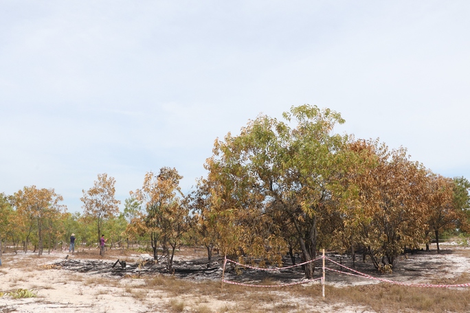 Đốt rừng phòng hộ để diễn tập chữa cháy cho… sát thực tiễn - Ảnh 10.