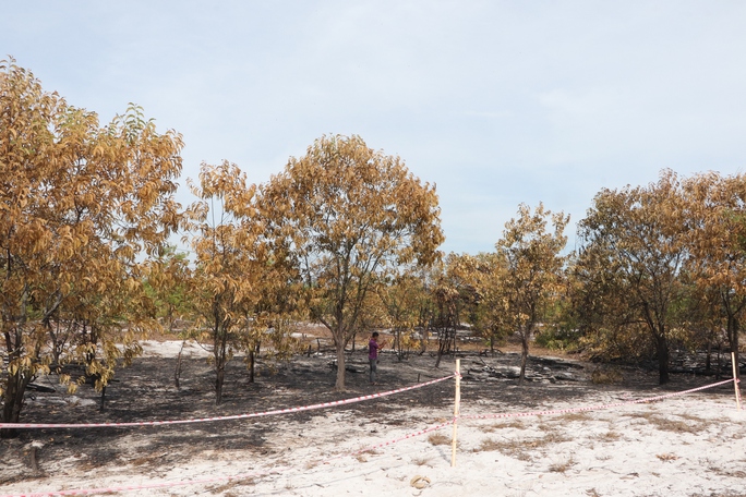 Đốt rừng phòng hộ để diễn tập chữa cháy cho… sát thực tiễn - Ảnh 24.