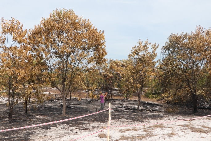 Đốt rừng phòng hộ để diễn tập chữa cháy cho… sát thực tiễn - Ảnh 22.