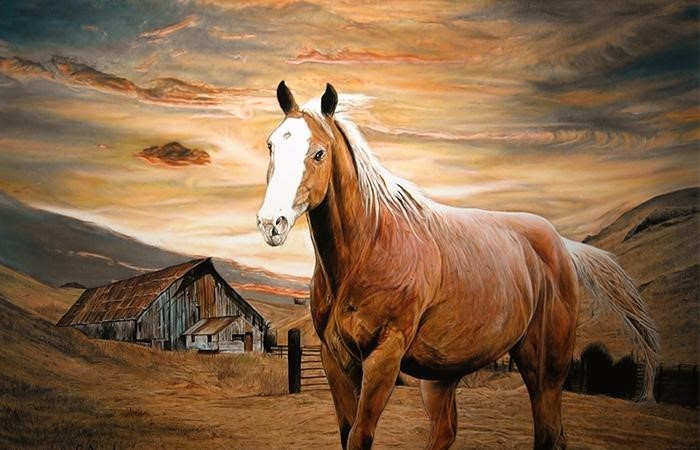 Tử vi hôm nay 29/6/2023: Tử vi hằng ngày 29/6 - Tử vi 12 con giáp 29/6 Tử vi hôm nay 29/6/2023: Tử vi hằng ngày 29/6 - Tử vi 12 con giáp 29/6