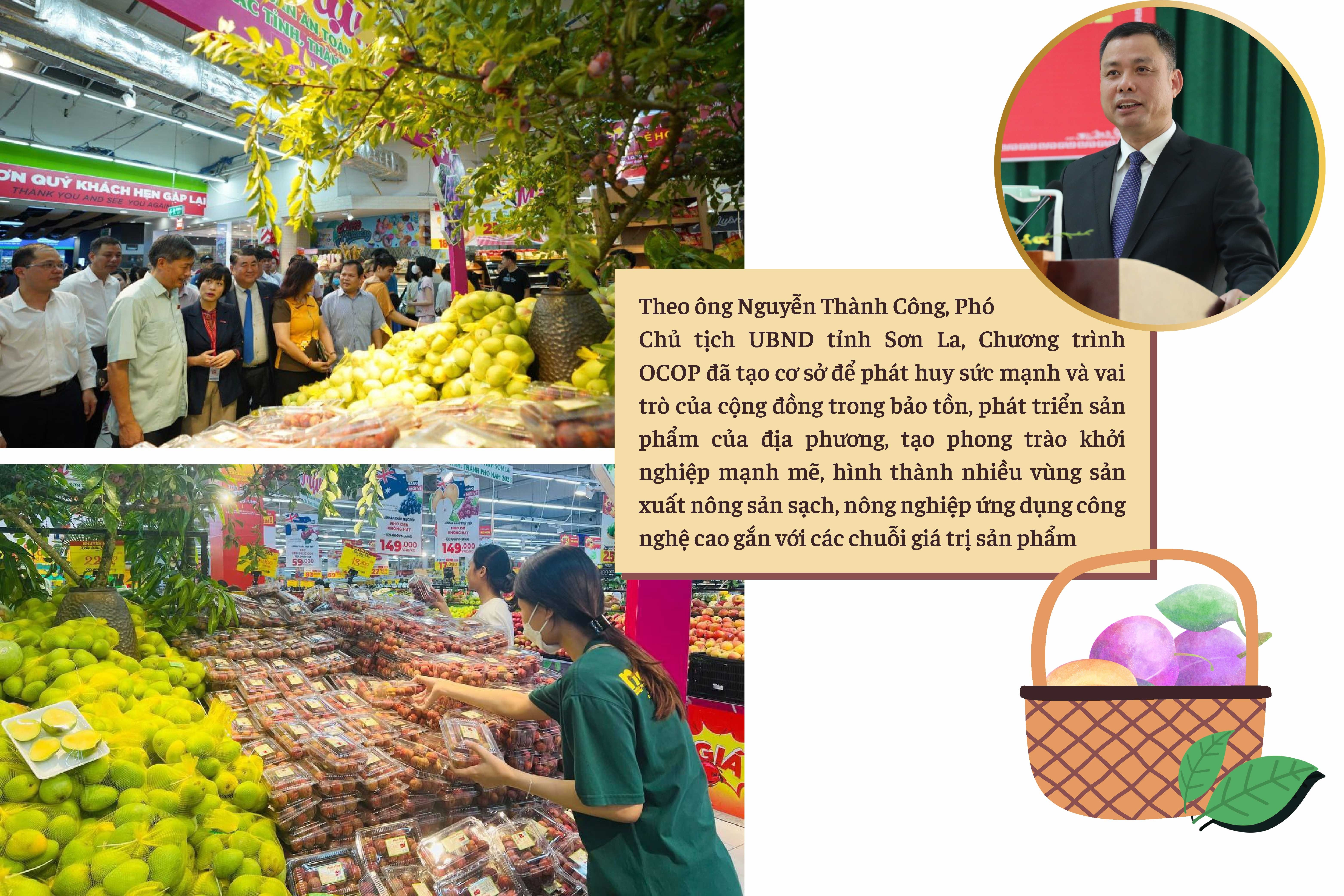 Longform | Sản phẩm OCOP Sơn La: Vươn ra thế giới Longform | Sản phẩm OCOP Sơn La: Vươn ra thế giới